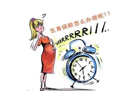 女性生育保險(xiǎn)如何購(gòu)買? 第1張 女性生育保險(xiǎn)如何購(gòu)買? 第1張