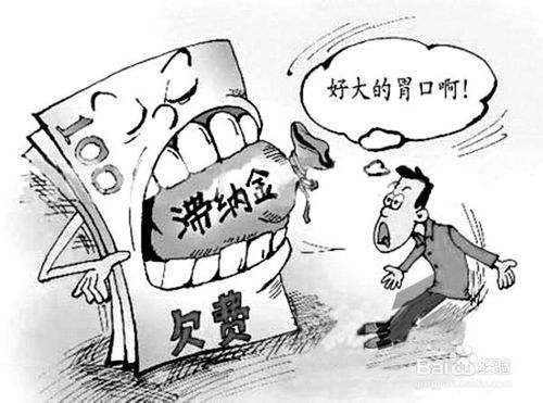 補繳社保滯納金怎么算？ 第1張