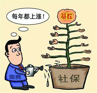 個人和單位繳納的社保,待遇會有什么區(qū)別? 第1張 個人和單位繳納的社保,待遇會有什么區(qū)別? 第1張