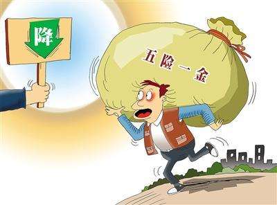 職工五險(xiǎn)一金繳費(fèi)比例 第1張 職工五險(xiǎn)一金繳費(fèi)比例 第1張