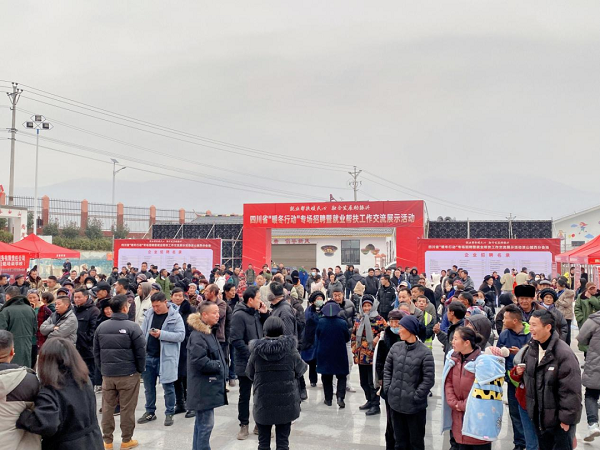 招聘會開進大涼山 瑞方人力助力越西縣扶貧安置點就業 第2張 招聘會開進大涼山 瑞方人力助力越西縣扶貧安置點就業 第2張